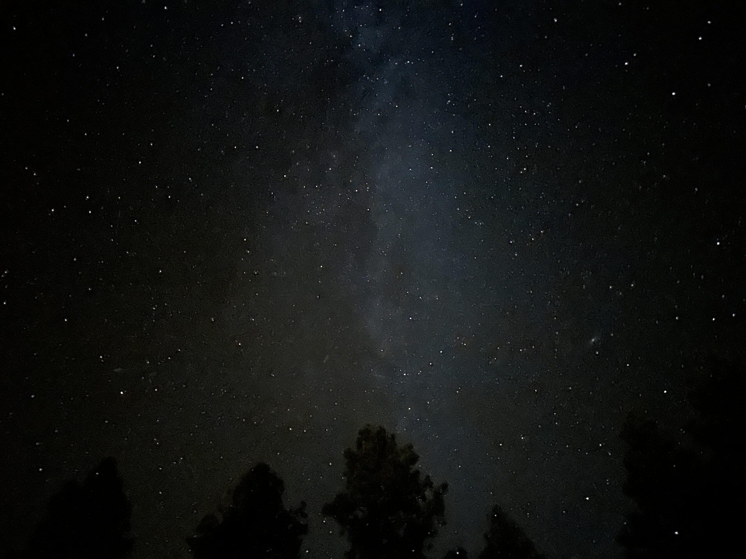 We Were Never Meant to Forget the Stars